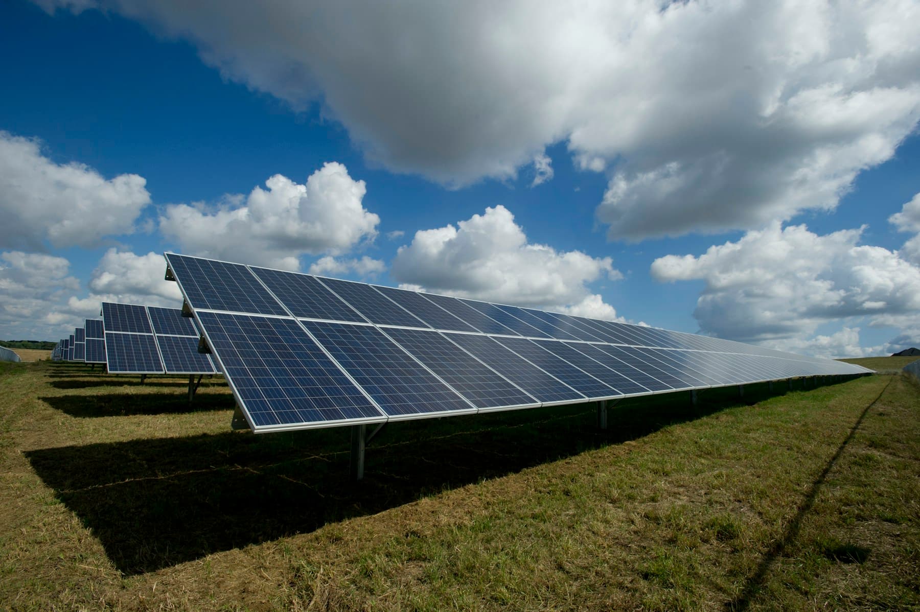 Paneles solares en una instalación fotovoltaica al aire libre